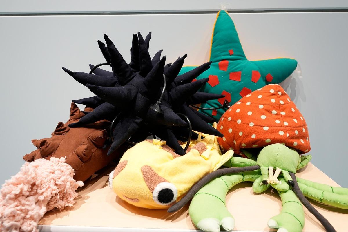 写真：からだのつくりを学べるぬいぐるみ